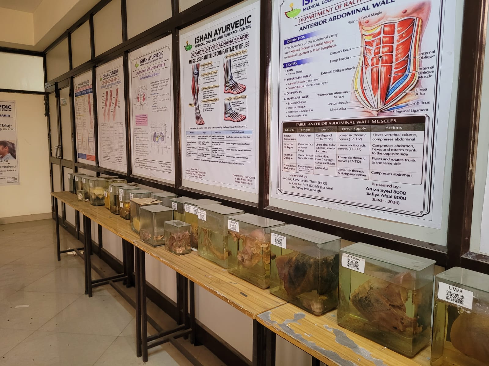 Department of Rachana Sharir - Lab 1